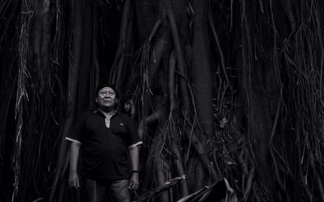 “Estamos tomando água poluída, de mercúrio. O povo yanomami vai sumir”