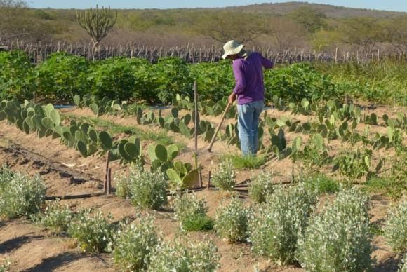 MP 759 expropria a população pobre do campo, explica Sérgio Sauer