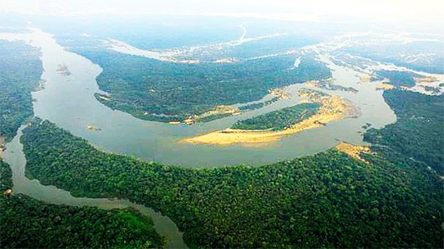 Justiça proíbe que mineradora canadense retire ouro do solo brasileiro