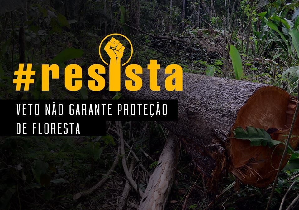 Nota Pública – Veto Não Garante Proteção de Floresta