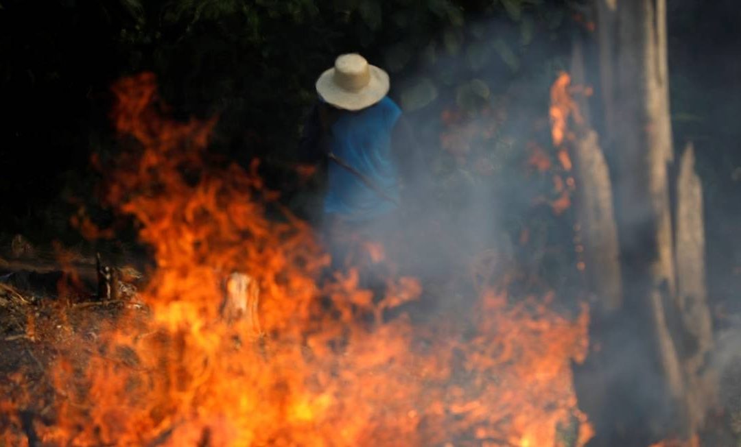 Queimar a Amazônia é crime contra a humanidade – NOTA VIA CAMPESINA