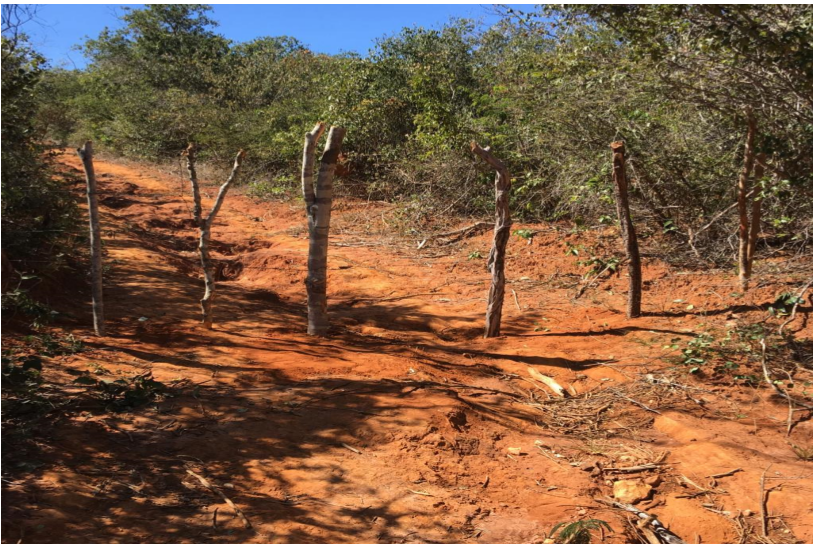 NOTA DE REPÚDIO – Um grito social e ambiental!