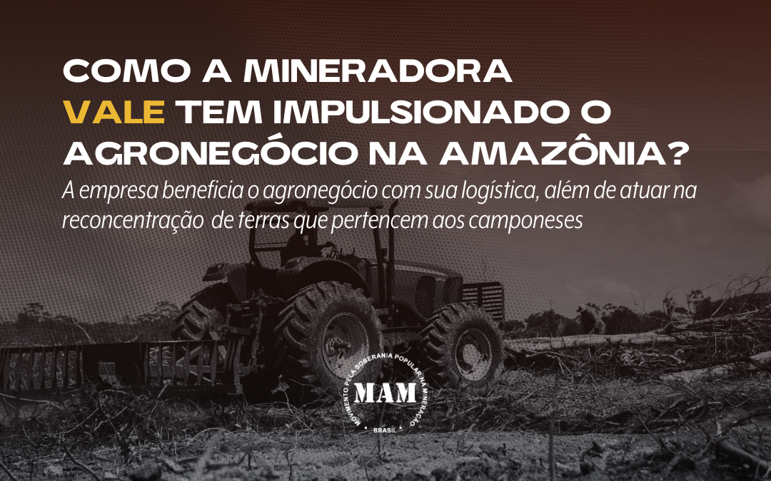 Como a Mineradora Vale tem impulsionado o agronegócio na Amazônia?