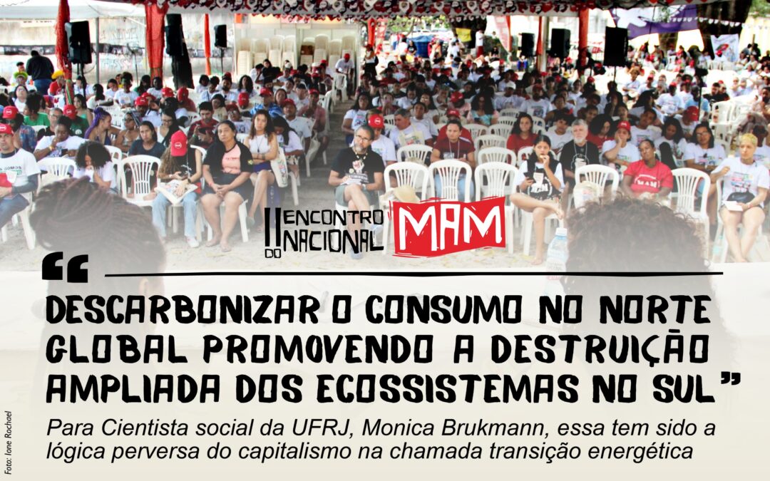 “Descarbonizar o consumo no Norte global promovendo a destruição ampliada dos ecossistemas no Sul”