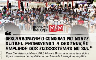 “Descarbonizar o consumo no Norte global promovendo a destruição ampliada dos ecossistemas no Sul”